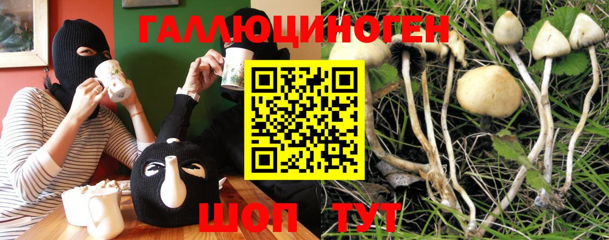 Коммунар  Псилоцибиновые грибы мухоморы  Вход с VPN 